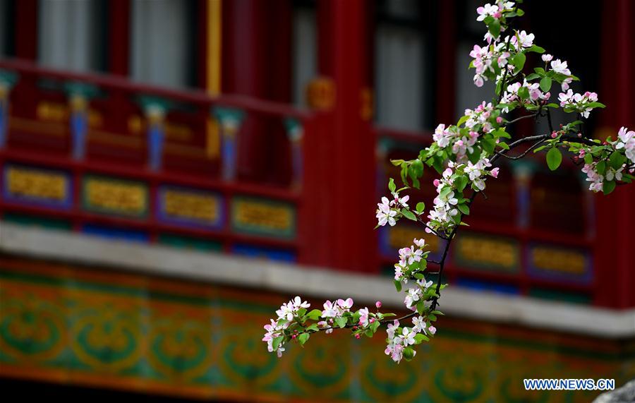 Views of Palace Museum in Beijing