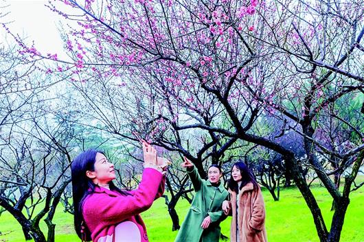 东湖梅花节开幕