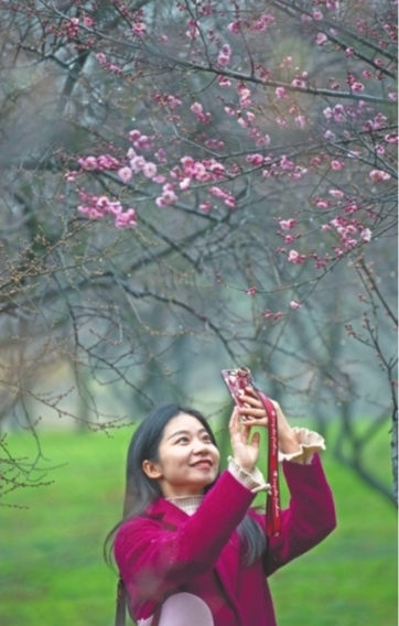 赏兰花观花灯 乘游船看表演 东湖端出文旅盛宴邀你过年