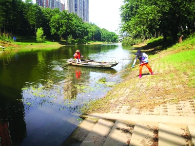 镇江句容推进全域生态河湖治理