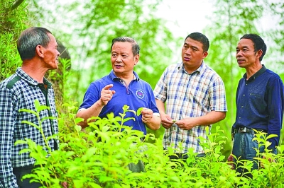 美丽乡村建设的科技答卷——浙江省科技特派员制度实施十五周年纪实