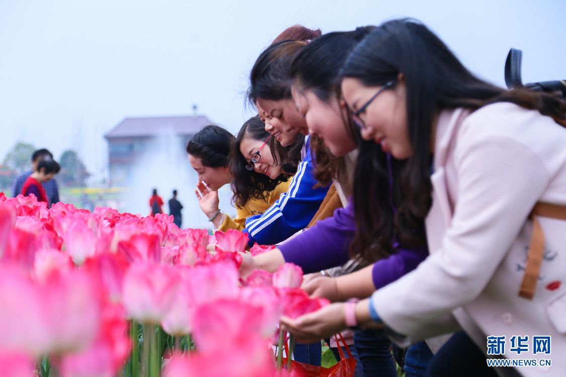 花海醉人花博汇