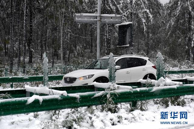 黑龙江漠河八月飞雪