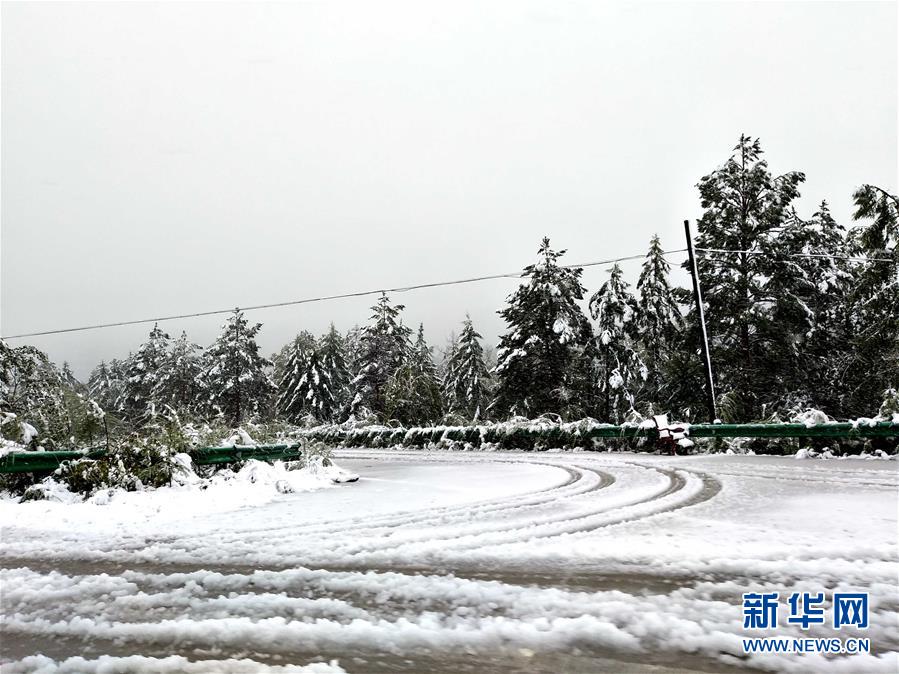 黑龙江漠河八月飞雪