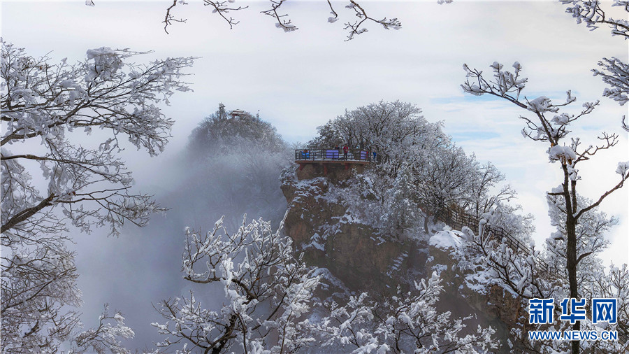 河南济源：“雪”色王屋山 美轮美奂