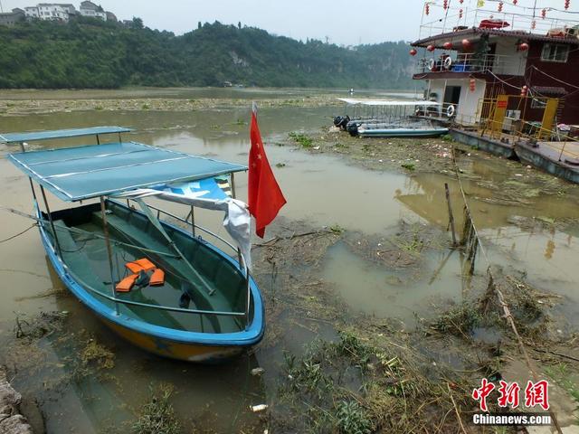 长江支流黄柏河漂浮物泛滥