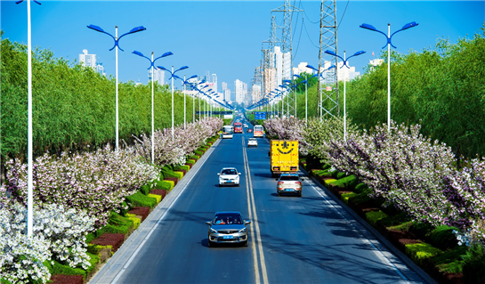 道路构架风景线 美丽渭南建设开局良好