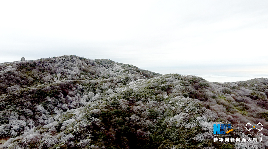 重庆：金佛山漫山雾凇如画