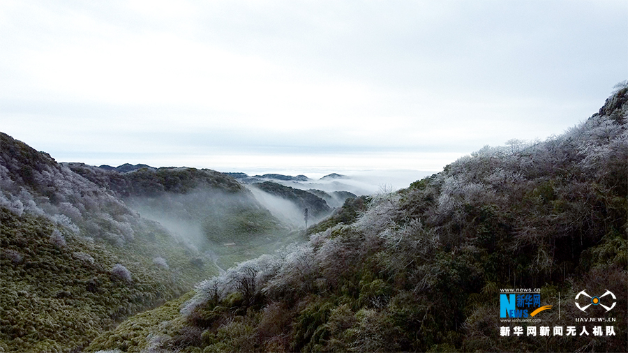 重庆：金佛山漫山雾凇如画