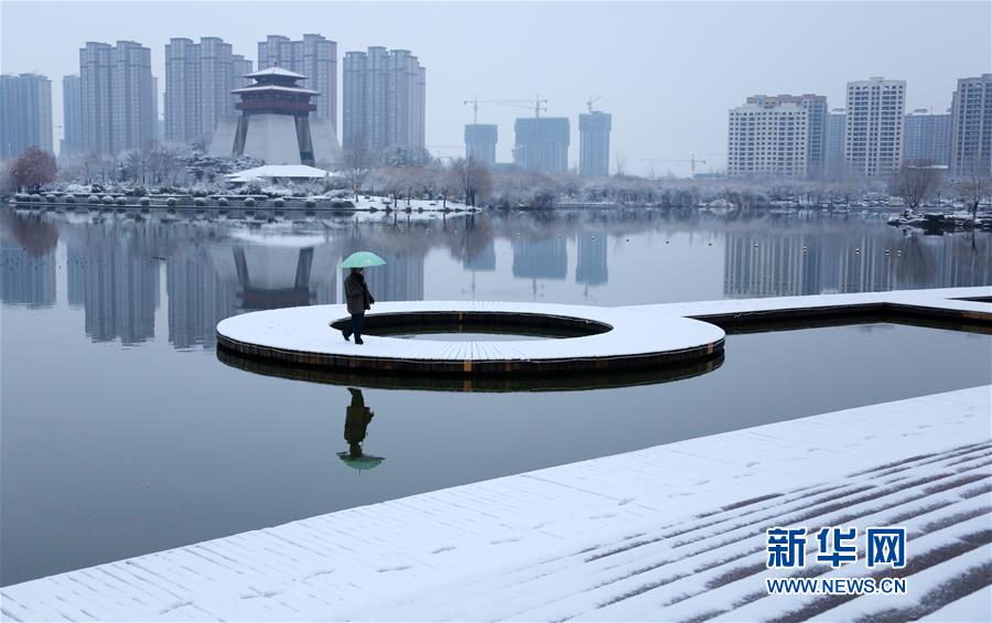 山东枣庄：瑞雪迎春