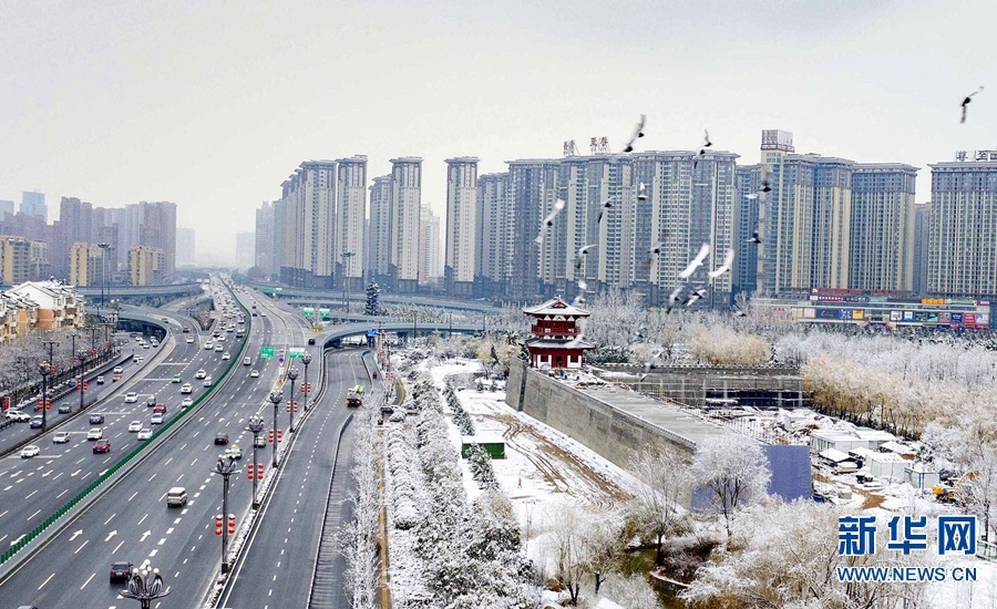 河南洛阳：瑞雪兆丰年 洛城美如画