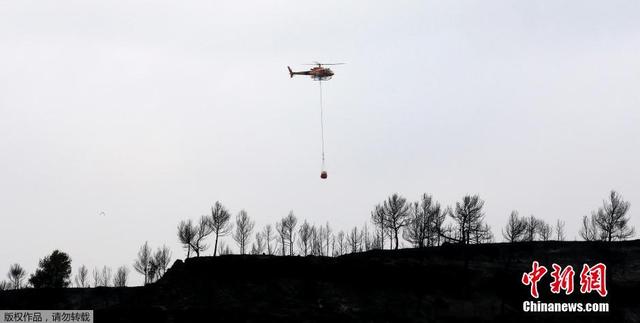 巴塞罗那附近发生严重山火 1200公顷土地遭毁