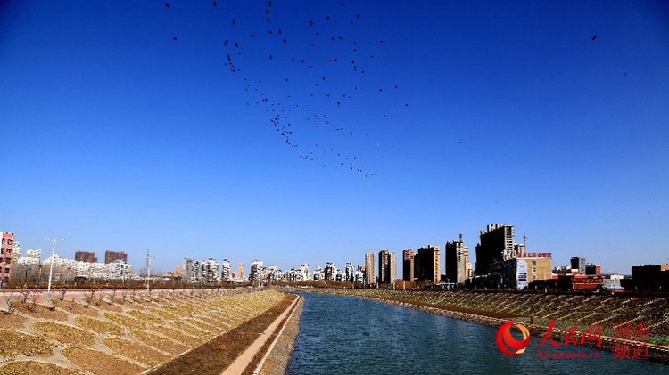 【旅游资讯-文字列表】“花海新城”西平县：以水润城 美景入画