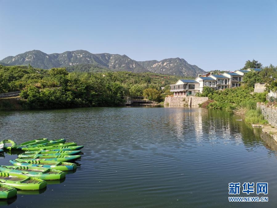 山东蒙阴：“树上”的风景