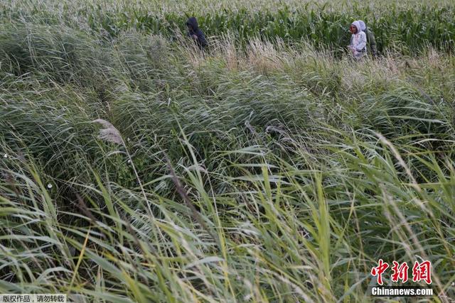 数千偷渡者冲击英法海底隧道 沿铁路前往英国