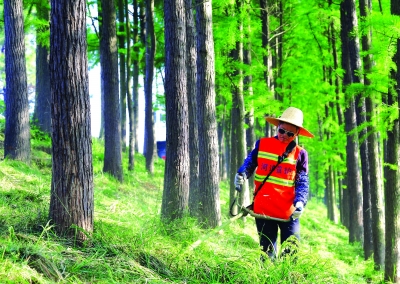 镇江句容推进全域生态河湖治理