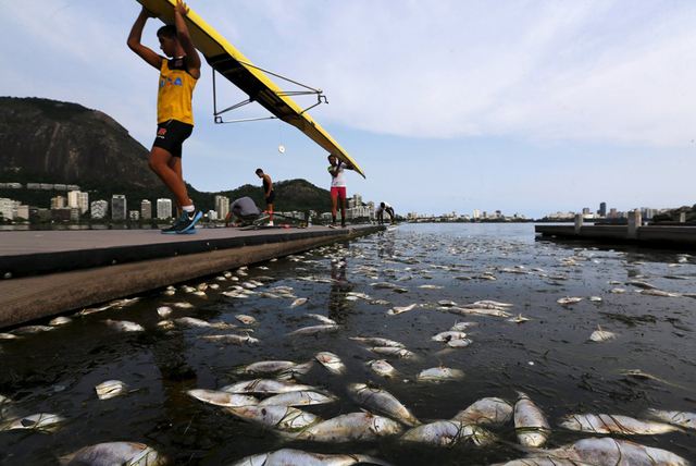 巴西奥运水上项目赛场污染严重 3勺水即可致病