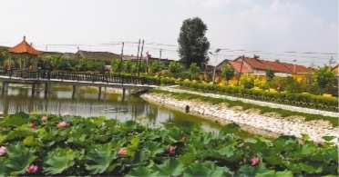 乡村处处绘新景——大连推进农村人居环境整治三年行动纪实