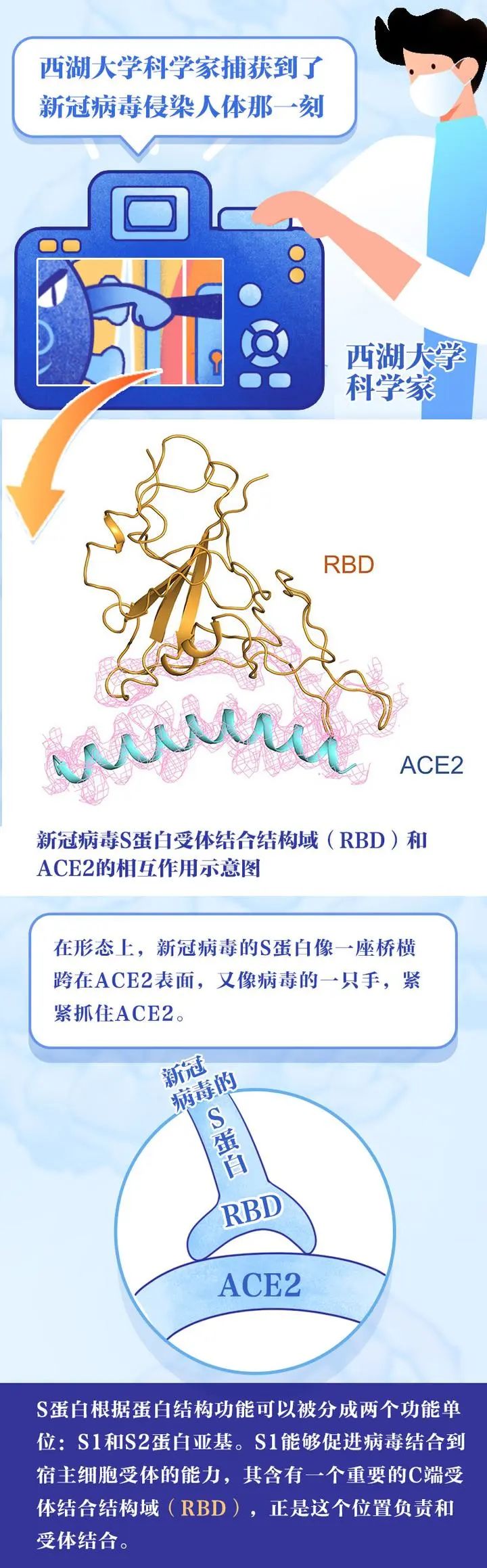 好消息！第一批疫苗已产生抗体