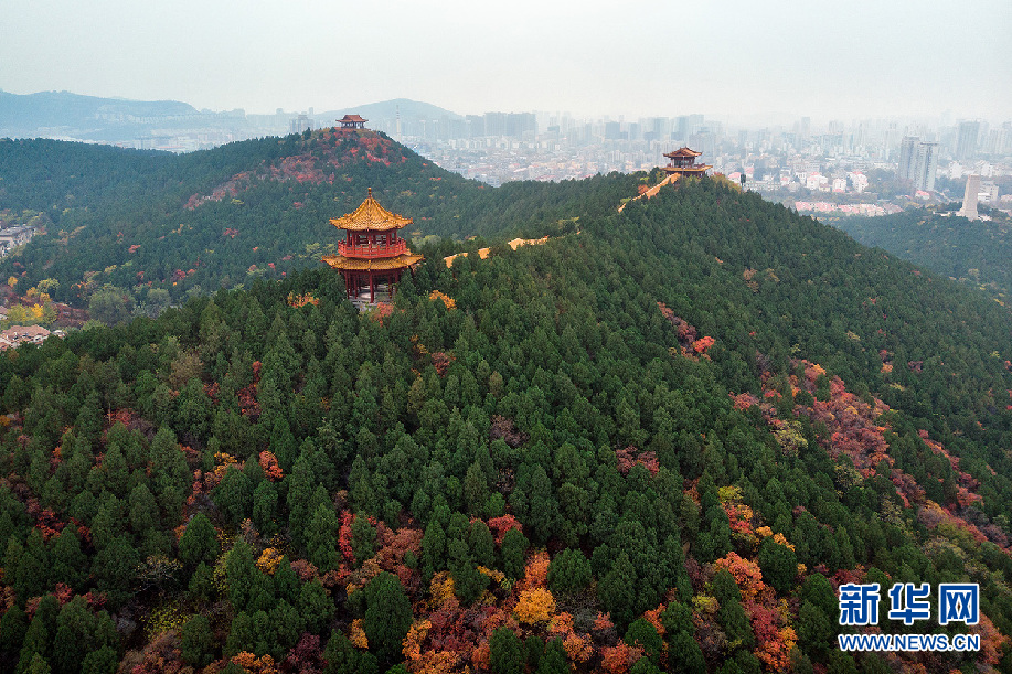 藏于泉城市区里的幽静山林