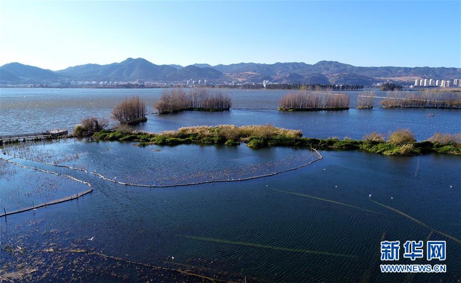 云南昆明：滇池湿地冬日美