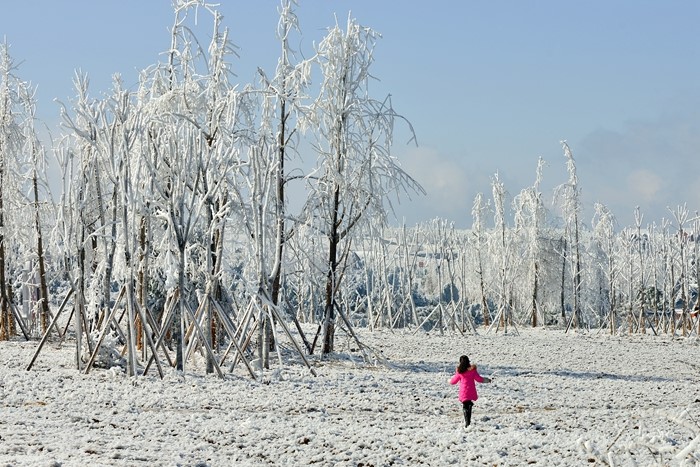 重庆秀山川河盖景区雪后展美景