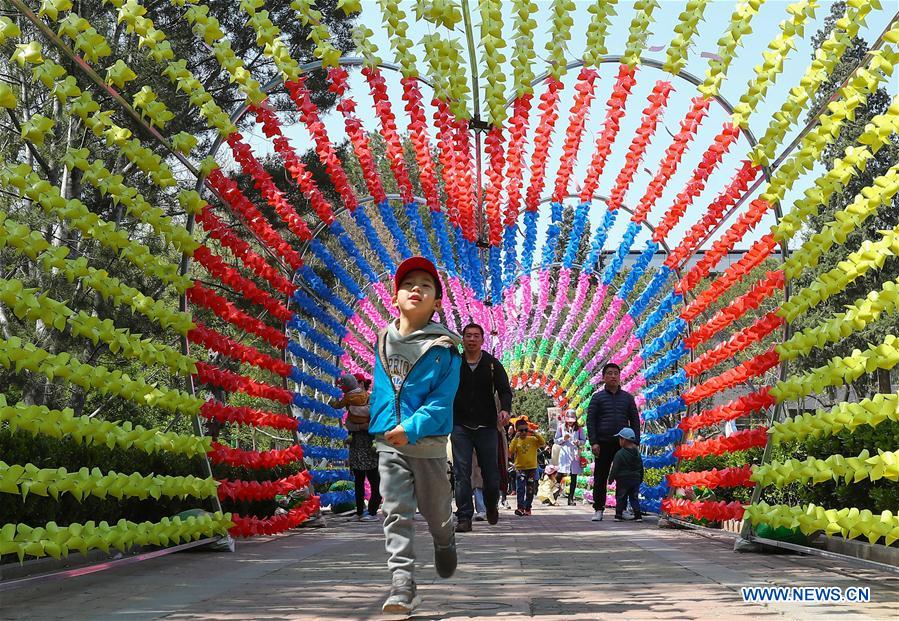 Pinwheel fair held in Beijing