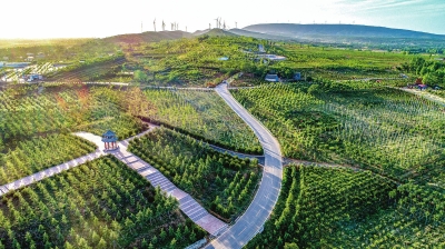 平顶山市郏县：广阔天地新作为 绿色崛起万象新