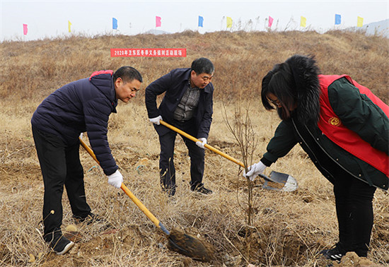 平顶山卫东区开展2020年冬季义务植树活动