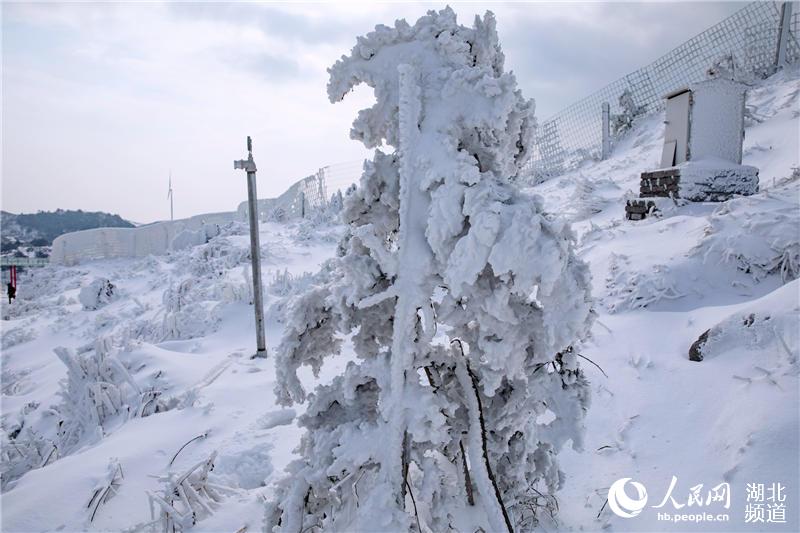 一万五千余名中外旅客登上湖北百里荒赏雪、滑雪