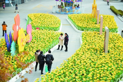 南京：“向日葵”扮靓街景