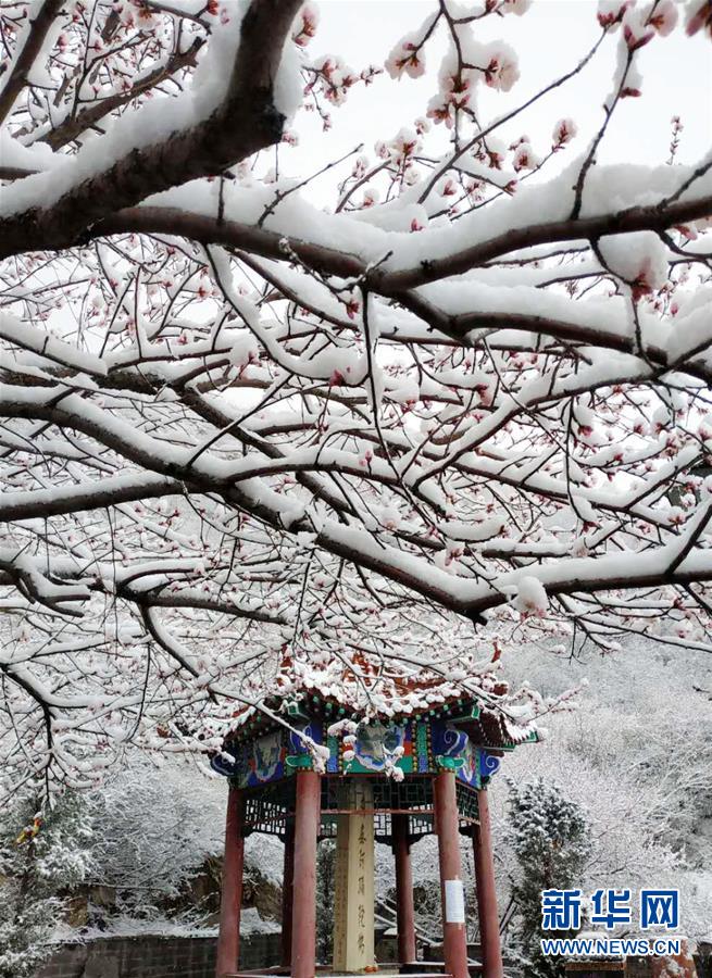 河北张家口降春雪