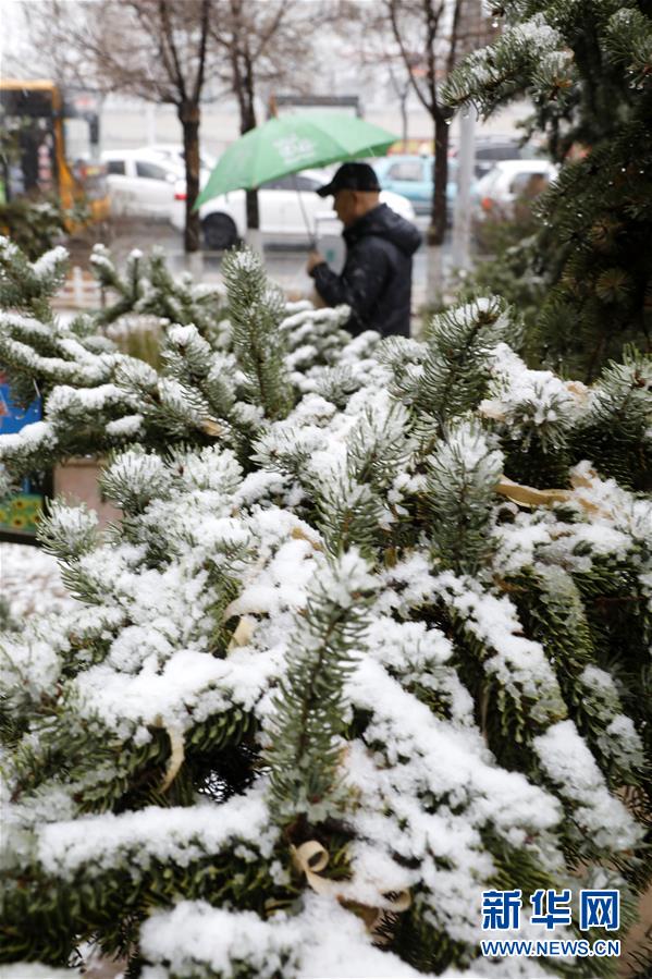 河北张家口降春雪