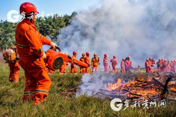 （大生态）2018年，贵阳市森林受害率为0.0129‰ 远低于省市指标