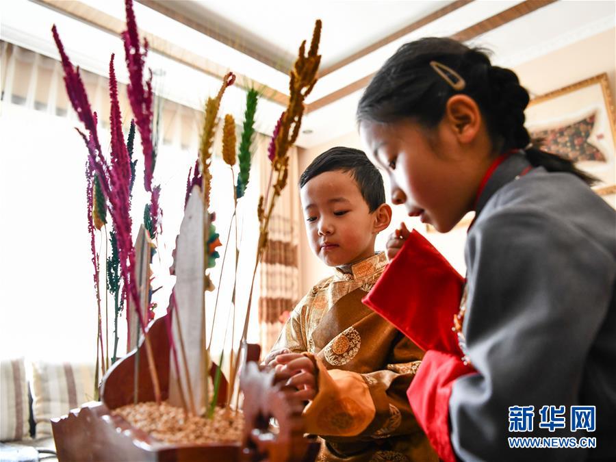 西藏各地欢度藏历新年