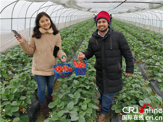 “老外”组团玩转南京高淳桠溪慢城年货节