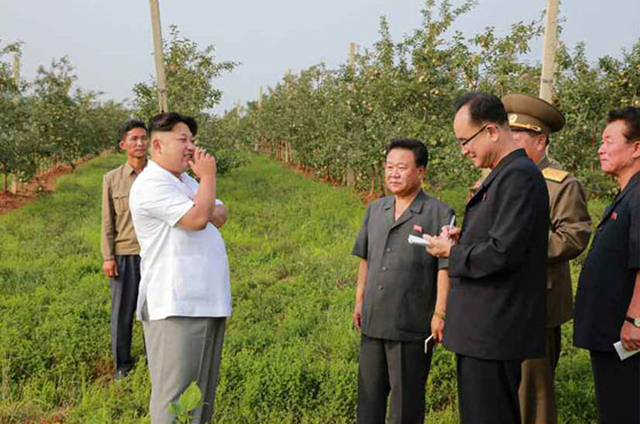 金正恩视察大同江果树综合农场 称赞水果大丰收