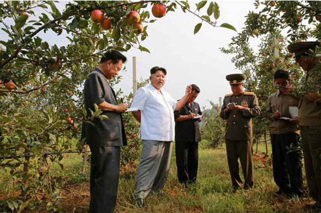 金正恩视察大同江果树综合农场 称赞水果大丰收