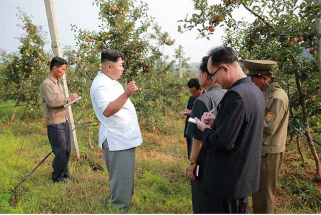 金正恩视察大同江果树综合农场 称赞水果大丰收