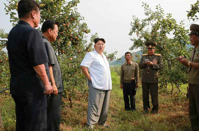 金正恩视察大同江果树综合农场 称赞水果大丰收