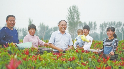 【河南好项目-图片】（页面标题：柘城辣椒红天下）柘城辣椒红天下 产业扶贫惠万家