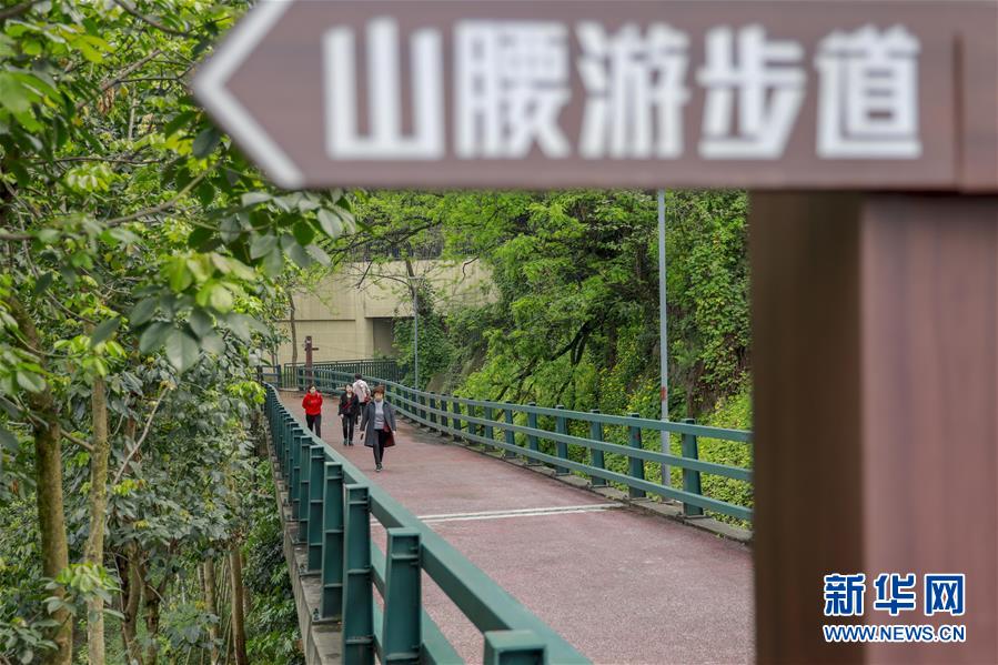 【行游巴渝 摘要】重庆山城步道：徜徉在绿水青山间的乡愁记忆