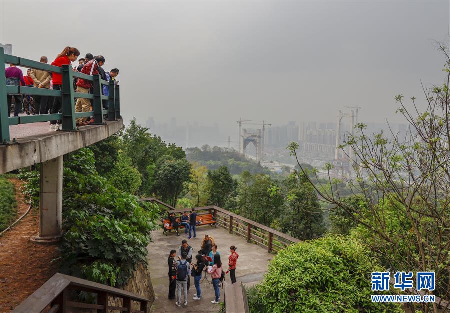 【行游巴渝 摘要】重庆山城步道：徜徉在绿水青山间的乡愁记忆