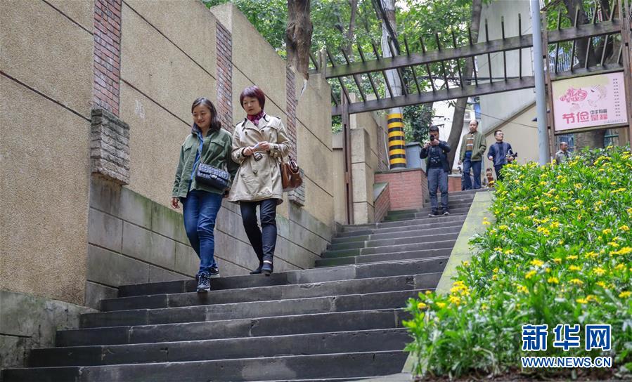 【行游巴渝 摘要】重庆山城步道：徜徉在绿水青山间的乡愁记忆