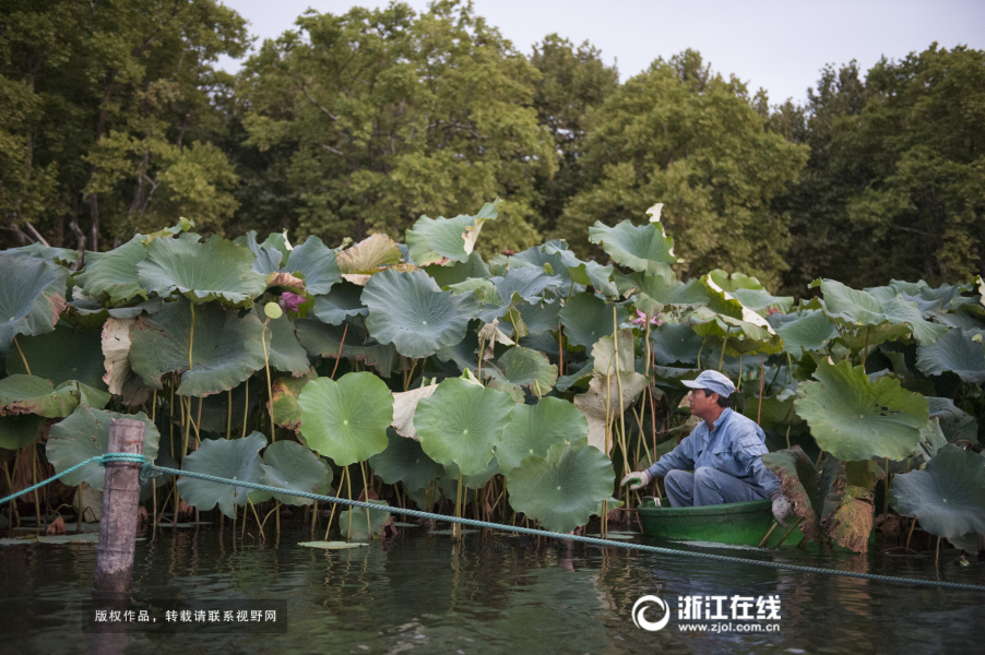 你见过凌晨4点的西湖吗？