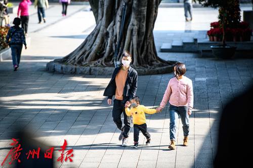 【春天总会来，花儿总会开】荔湾湖粉紫荆与新绿芽