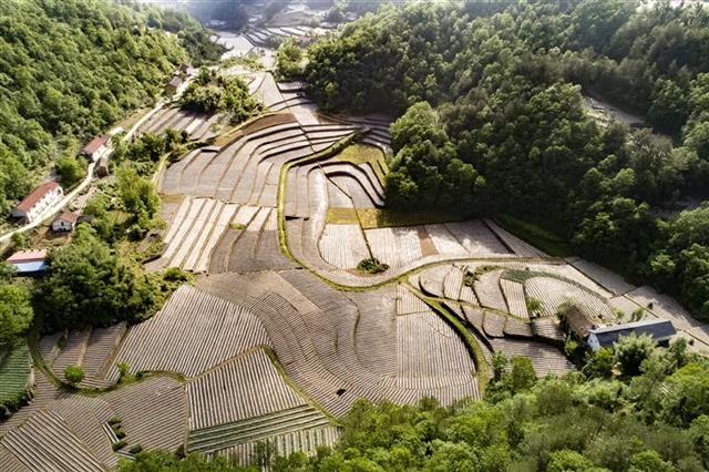 湖北建成生态小流域100多条