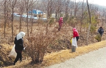 乡村处处绘新景——大连推进农村人居环境整治三年行动纪实