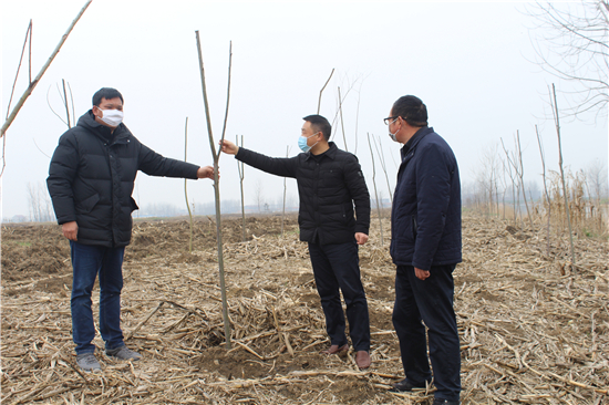 （灌云县龙苴镇政府 供稿 县域经济列表 三吴大地连云港 移动版）【苏力同心战疫情】连云港市灌云县龙苴镇统筹推进疫情防控与国土绿化工作