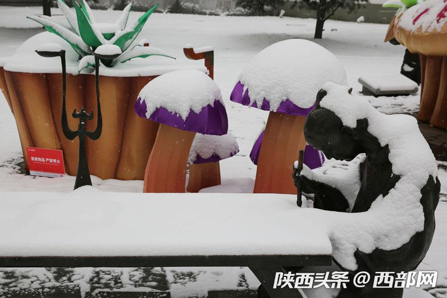 春节假期一场大雪浓了年味 美了不起眼的景和人